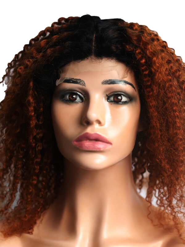 Curly Afro Wig