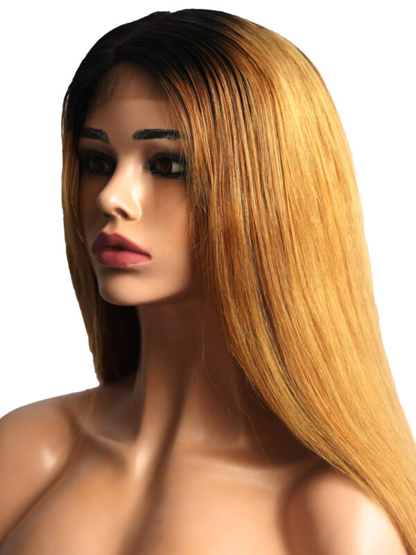 Long Straight Wig