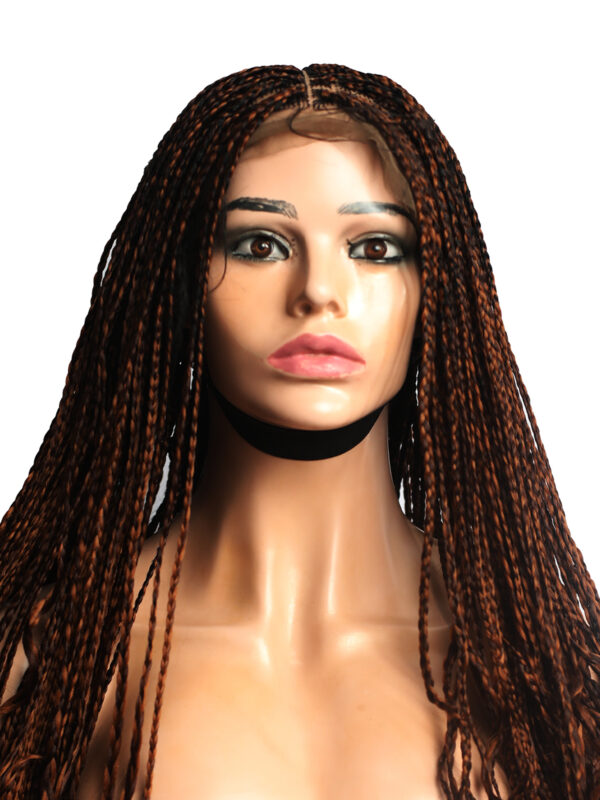 Lace Front Braided Wig